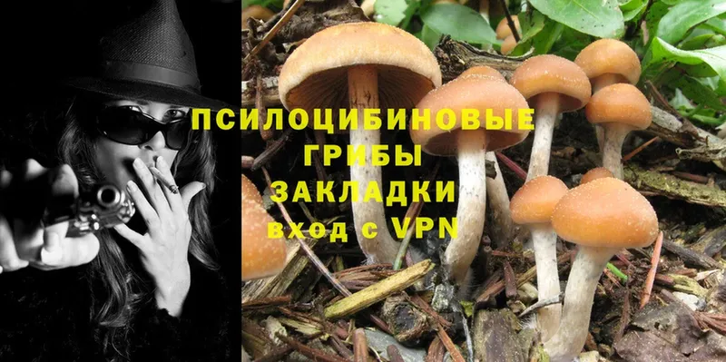 Псилоцибиновые грибы Cubensis  МЕГА рабочий сайт  Галич 